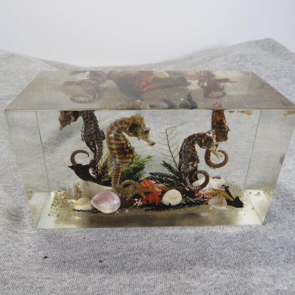 Vintage REAL Sea Horse Acrylic Block 3" tall 5.25x2.25" - Picture 1 of 13